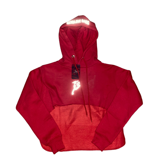 ZCA 3M CROP HOODIE