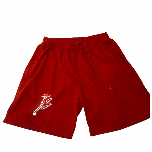 ZCA Basic Reflective Trunks